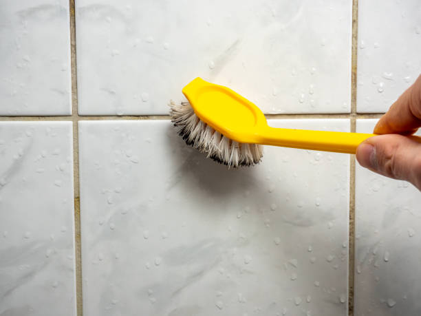 Best Professional Mold Removal  in South Lockport, NY