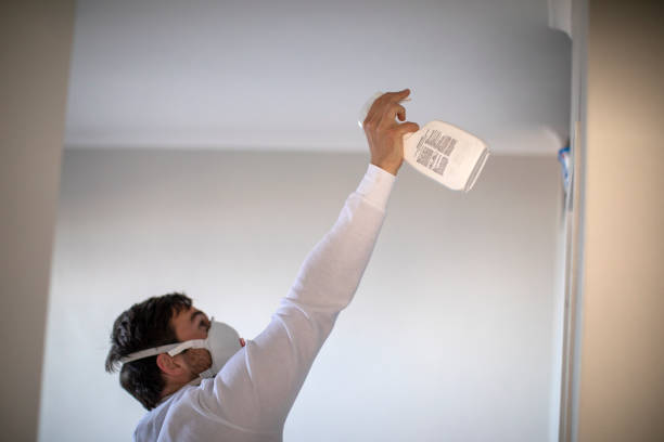 Professional Mold Removal in South Lockport, NY