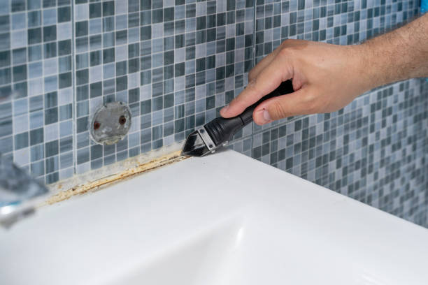 Mold Testing and Removal in South Lockport, NY