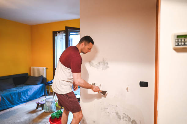 Best Affordable Mold Removal  in South Lockport, NY
